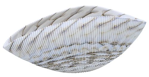 Large Murano Glass Shell Bowl