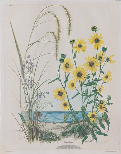 MARYROSE WAMPLER, Flower lithograph