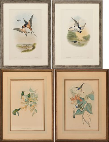 4 Gould & Richter Colored Lithographs, Hummingbirds & Birds of Great Britain