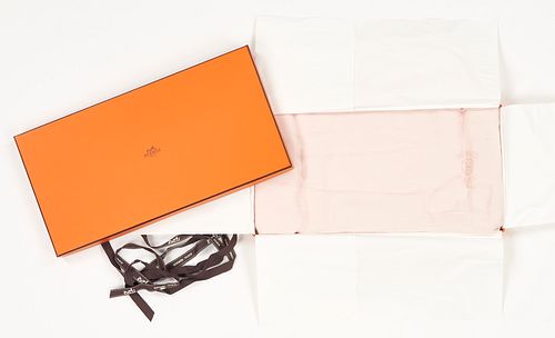 Hermes Cashmere & Silk Plume Maxi Scarf, Rose Poudre 160