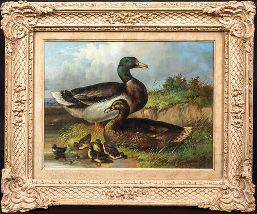 PORTRAIT OF A FAMILY DUCKS OIL PAINTING