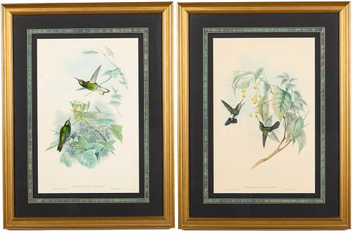 2 Gould Bird Lithographs With Paperwork