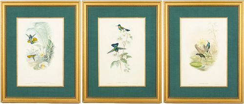 3 Gould and Richter Hummingbird Prints