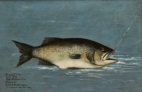 Bass Fish Painting -Florida 1895