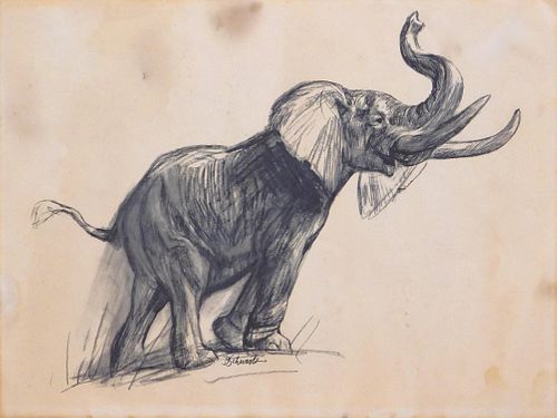  D. Schwartz: Elephant Study