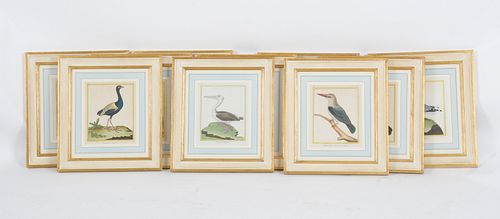 After Francois-Nicolas Martinet, Bird Prints