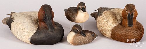 Four carved and painted canvasback family duck de