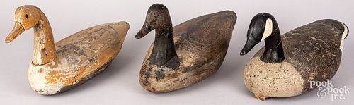 Three carved and painted Canada goose decoys