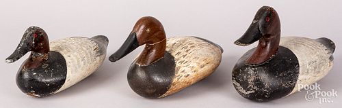 Three carved and painted canvasback duck decoys