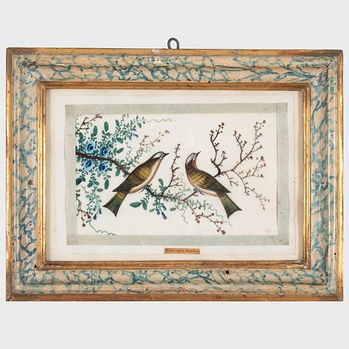 Pair of Chinese Pith Paintings of Birds in Faux Marble Frames 