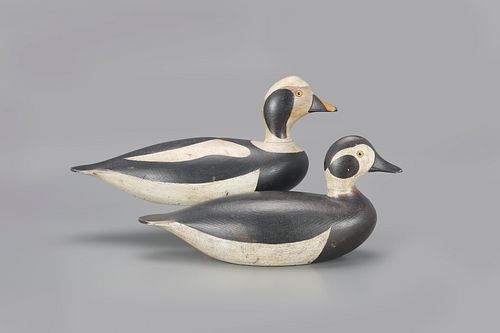 The Barber-O'Brien Long-Tailed Pair of Decoys by Joseph W. Lincoln (1859-1938)