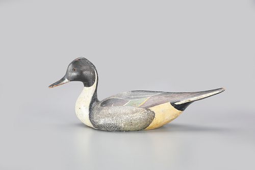 "White Mallard Club" Pinch-Breast Pintail Decoy by The Ward Brothers