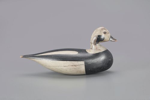 The Mackey-Muller Shourds Long-Tail Decoy by Harry V. Shourds (1861-1920)