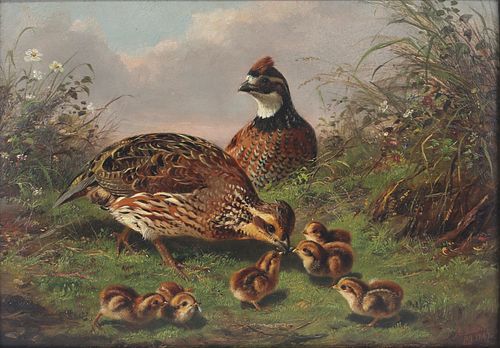 Arthur Fitzwilliam Tait (1819-1905), Quail and Chicks