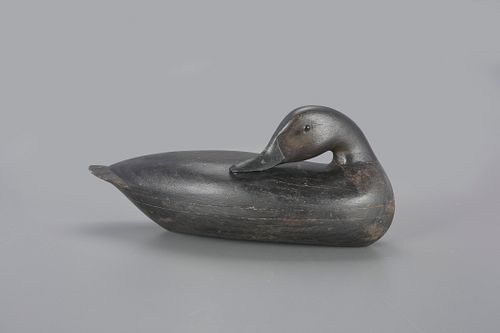 The Perdew Preening Black Duck Decoy by Charles Perdew (1874-1963)