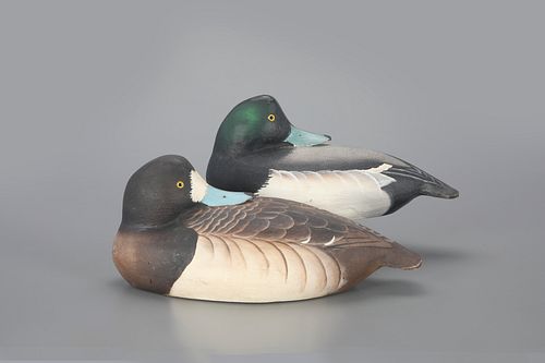 Sleeping Bluebill Pair by The Ward Brothers