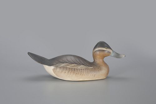 Outstanding Ruddy Duck Decoy by The Ward Brothers