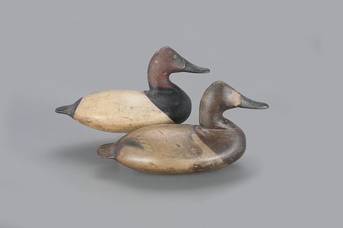 Canvasback Pair by William Heverin (1860-1951)