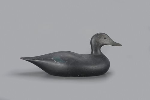 Oversize Spear-Rig Black Duck Decoy by Joseph W. Lincoln (1859-1938)