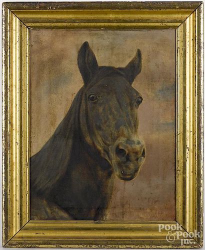 Oil on canvas study of a horse, dated 1895, 18'' x 14''.