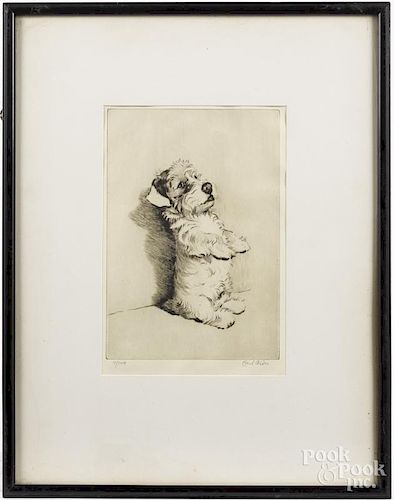 Cecil Aldin (American, b. 1908), engraving of a terrier, titled For What We are About to Receive