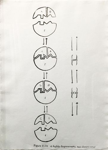 Andy Warhol - Physiological Diagram