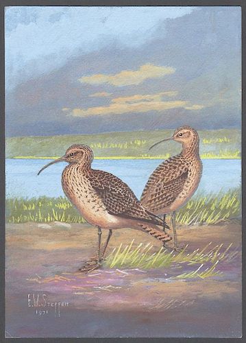 Steffen Watercolor of Northern Curlew
