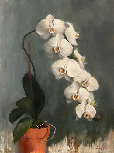 Terracotta Orchids by Dana DiMuro, Montclair NJ