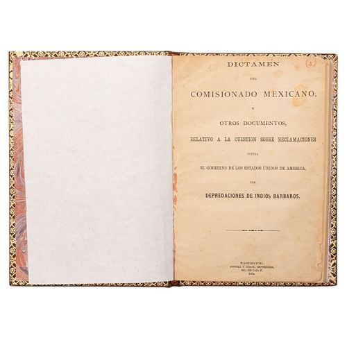 Guzmán, León - Wadsworth, W. H. Dictamen... sobre Reclamaciones por Desapariciones de Indios Bárbaros. Washington, 1872.