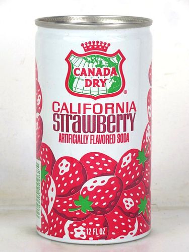 1977 Canada Dry Strawberry Soda 12oz Can Princeton WV
