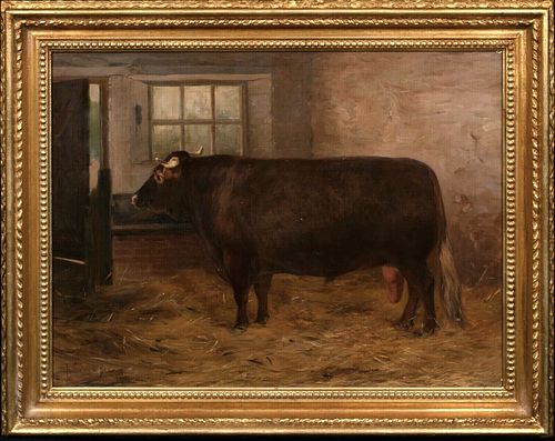  PORTRAIT OF A PRIZE SHORTHORN BULL IN A BARN OIL PAINTING