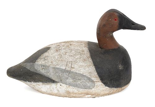 Oversize carved and painted canvasback duck decoy,