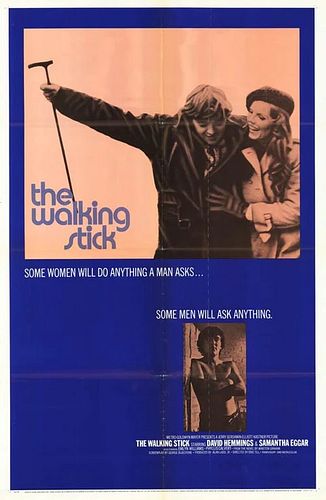 The Walking Stick 1970 Movie Poster