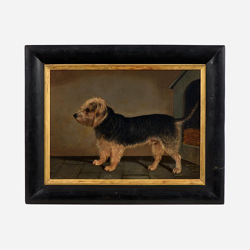 Oil of a Norfolk Terrier, 19th c. English