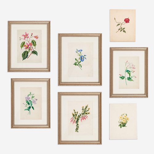 Group of 7 French Botanical Watercolors, circa Mid-19th c.