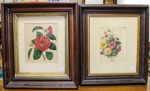 An Assembled Set of Four Botanical Prints Largest: 8 1/2 x 7 inches.