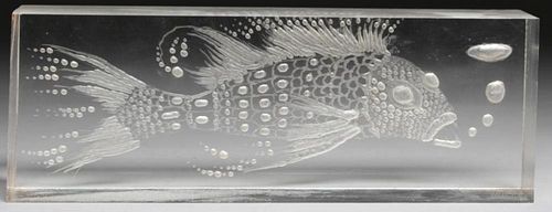 Clear Acrylic Cube Depicting a Lancetfish