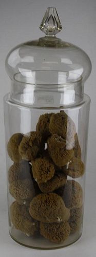 Apothecary Display Covered Jar With Sponges