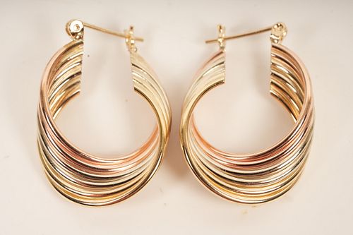 4.89g 14K Gold Tri-Color Earrings 