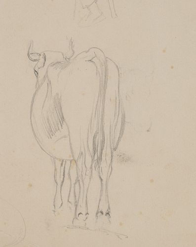 T. WEBER (1813-1875), Animal study. Cow in dorsal view, Pencil