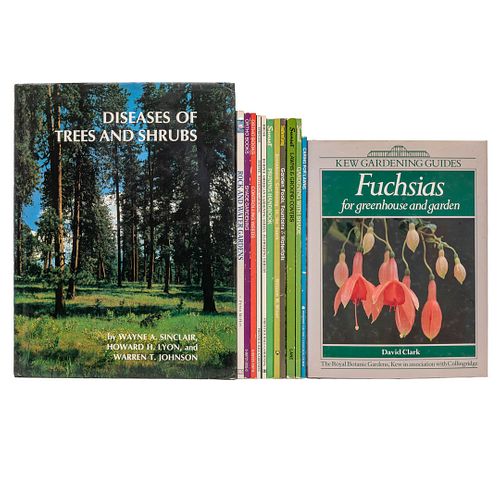 American Gardening Series Flowering Shrubs / Shade Gardening / Garden Pools, Fountains & Waterfalls / Controlling Weeds. Pzs 10