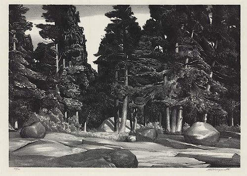 Original Wengenroth Lithograph - Deep Forest, 1937.
