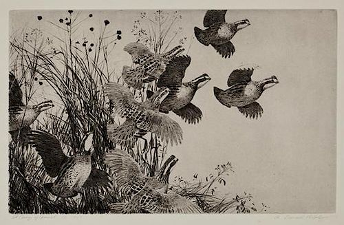 Aiden Lassell Ripley (1896-1969) A Covey of Quail