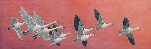 Francis Lee Jaques (1887-1969) Swans and Snow Geese