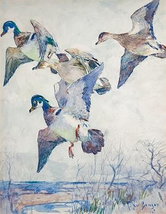 Frank W. Benson (1862-1951) Wood Duck