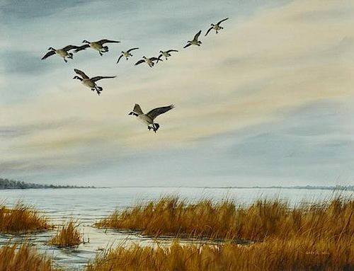 Gary E. Neel (20th Century) Canada Geese