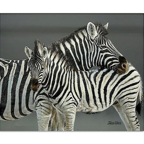 Janson Turner, American (20th Century) Oil on Canvas "Two Zebras" Signed Lower Right