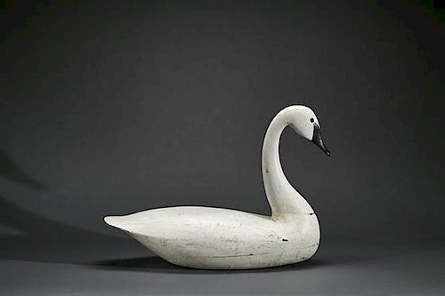Swan Charles Birch (1867-1956)