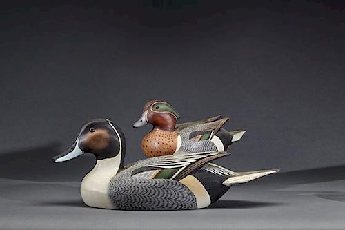 Pintail and Green-Winged Teal Drakes