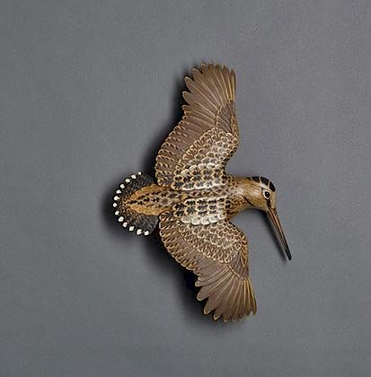 Flying Woodcock Eddie Wozny (b. 1959)